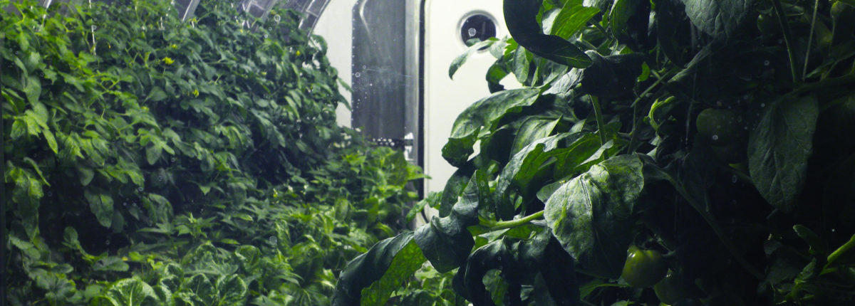 Milyen lesz az űrkutatás: A NASA folytatja a kísérleteket 