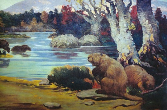 Milyen lehet a föld ember nélkül?