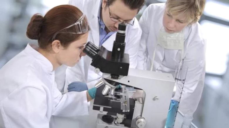 Mi a halál sebessége és miért halnak meg leggyakrabban emberek kora reggel?