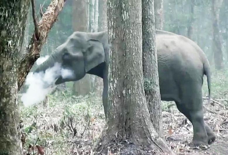 A megfigyelő kamera elcsukódott a lencsében