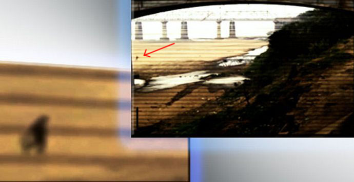 A megfigyelő kamera újabb vicces szellemet fogott el