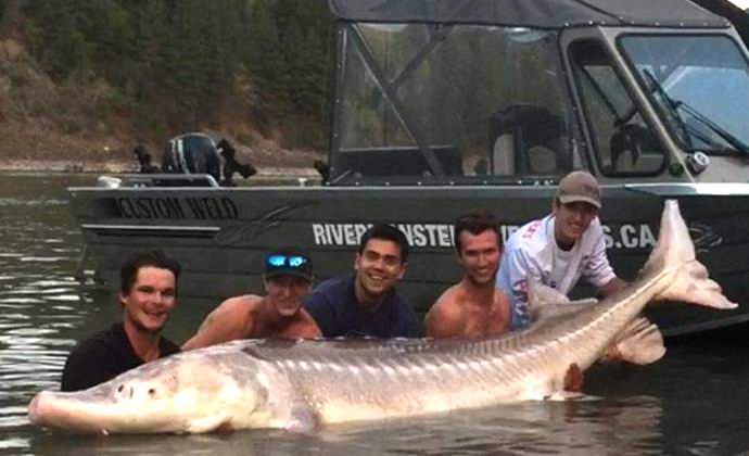 A kanadaiak elfogták a legendás szörnyös tokot