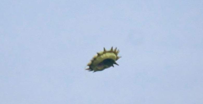 A kanadai kétszer fényképezett