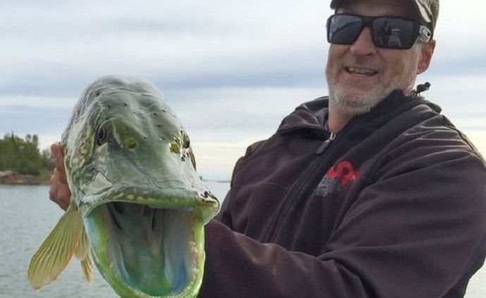 A kanadai elkapta a mágikus csukat