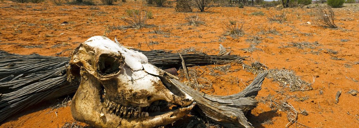 Kanadai tudósok: az emberiség 700 éven belül kihal 