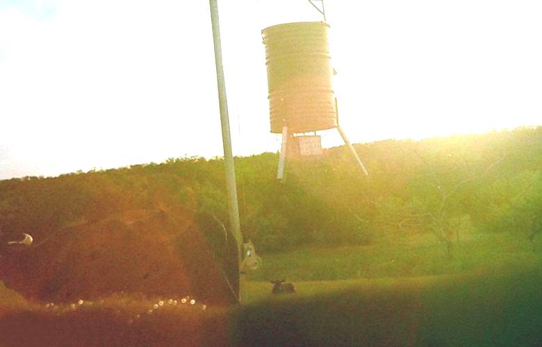 Egy kanadai gazda titokzatos gyöngyöket fényképezett a fűben.