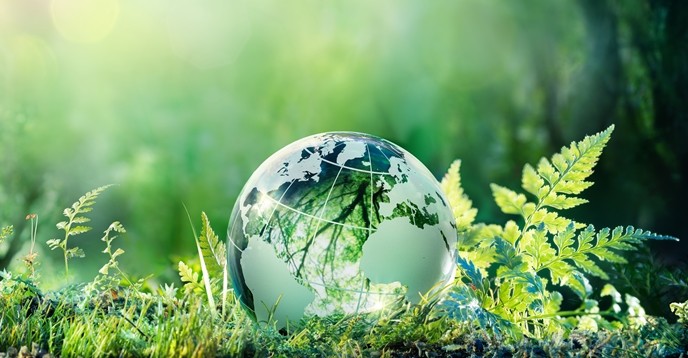 A Föld bioszféra katasztrofális változásai, amelyeket a tudósok fedeztek fel