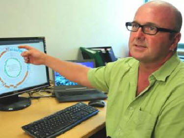 Az emberi bélvírus baktériumok táplálkoznak, amelyek elhízást okoznak