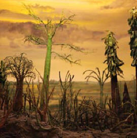 A savas esők katasztrófához vezetnek