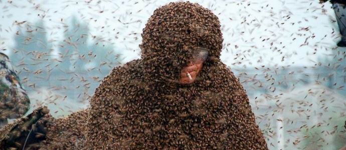 A kínai önként beragadt egy millió élő méhbe