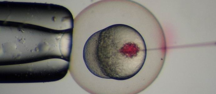 A kínaiak elvégezték az első emberi embrió genetikai korrekcióját