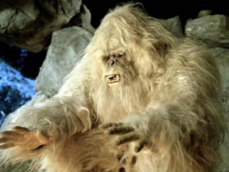 Kínai Yeti