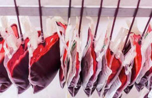 A kínai szülők vérrel javítják gyermekeik teljesítményét