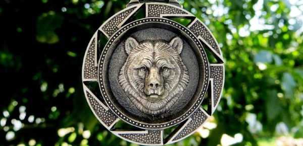 Védett medve Védett medve