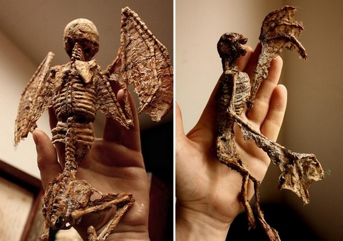 A titokzatos kriptidek gyűjteménye: Thomas Merlin