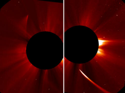 Az ISON Comet Phoenix a hamumból újjászületett