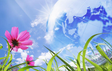 A beltéri növények képesek gondolkodni, beszélni és olvasni a gondolatainkat.