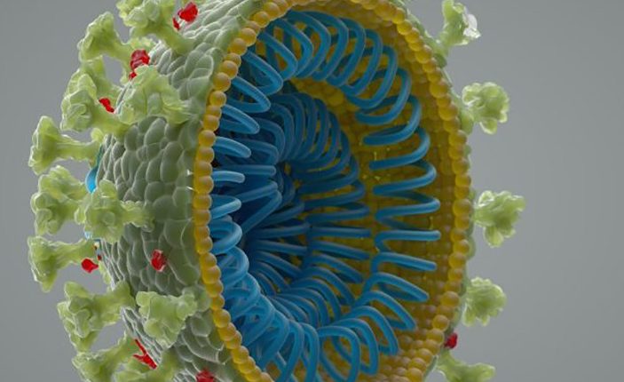 A koronavírust nem laboratóriumban hozták létre.  A tudósok ezt mondják 