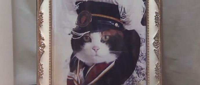 A macska meghalt. Éljen tovább a macska!