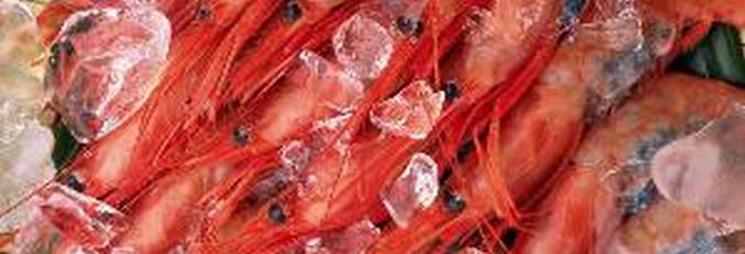 A garnélarák napelemekre ment