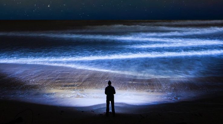 A bolygó legnagyobb vándorlása minden nap megtörténik, és ezt nem vesszük észre 