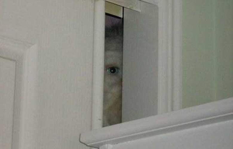 Valaki fényképeket küld egy ijesztő lényről egy amerikai számára.