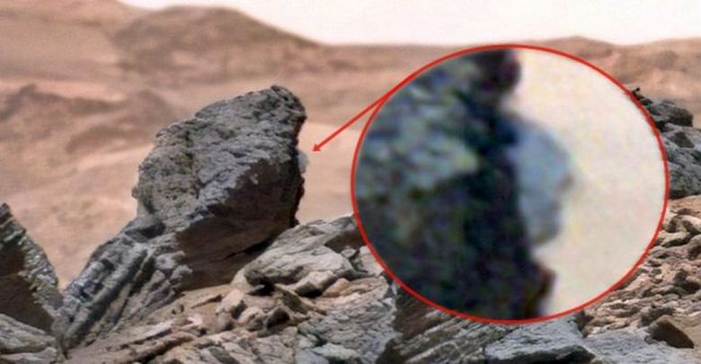 Ki néz ki hátulról?