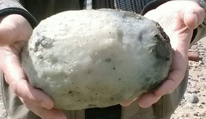 Egy darab szürke borostyán gazdag brit párból készült