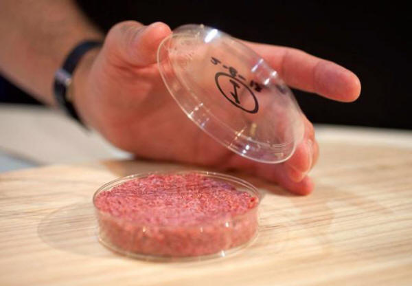 Laboratóriumi hús: lenni vagy sem lenni?