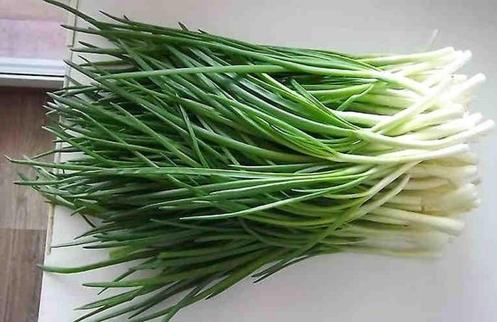 Egy egyszerű és hatékony módszer zöldhagymának termesztésére egy lakásban