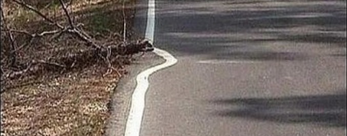 A lustaság a haladás motorja?