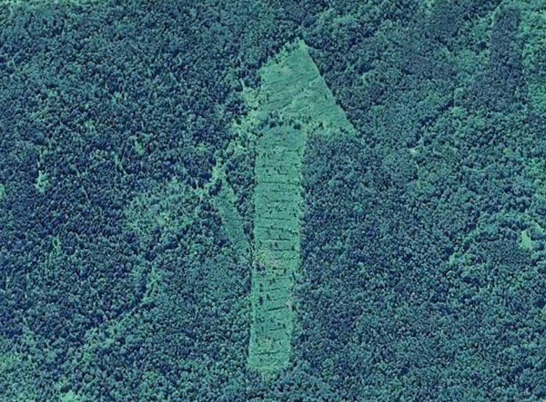 A szmolenszki térség erdői titokzatos szimbólumokkal lepte meg a kutatókat