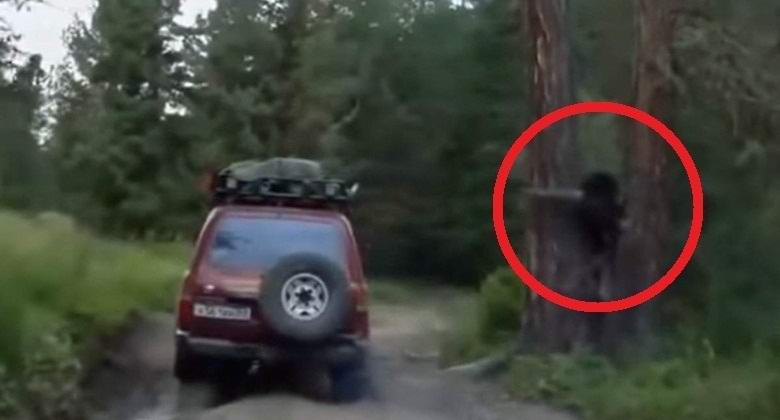 Lesha elfoglalták videót Oroszországban