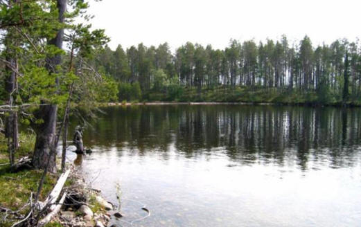 Goblin Vedlozeroból