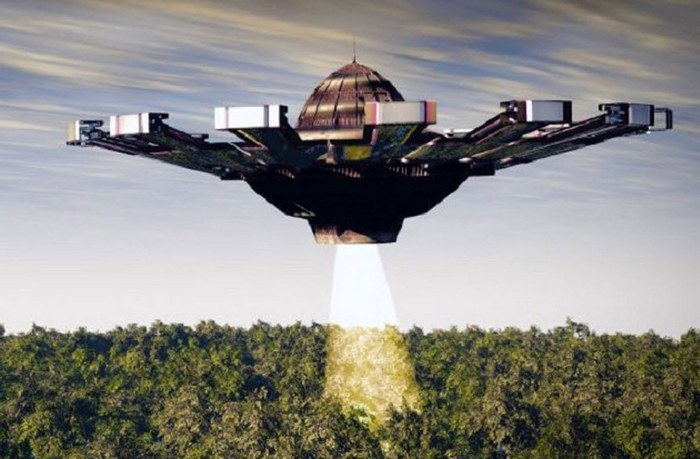 A fénysugár nyomon követi a vadállatokat