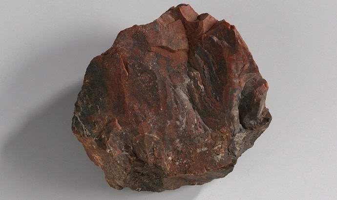 A NASA holdkője fafajnak bizonyult