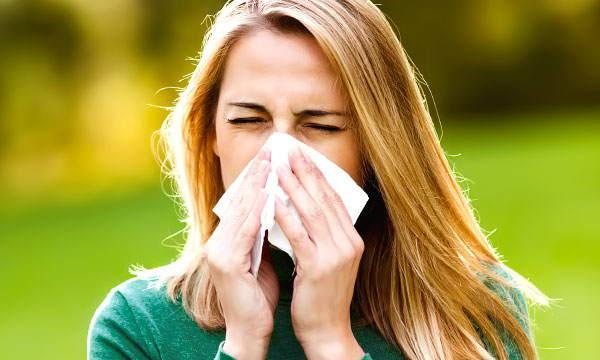 Szerelmes tüsszögés 