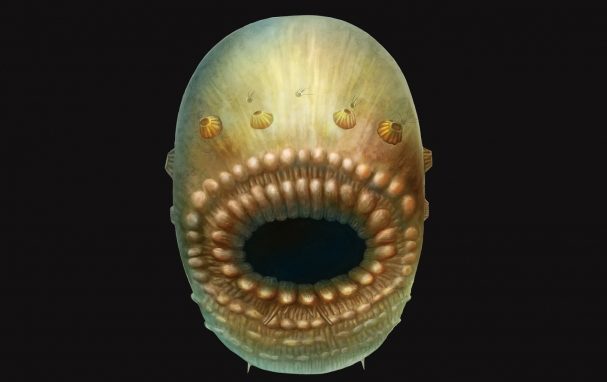 Ebből jöttek emberek?  - lepte el a felfedezett lény a tudósokat 