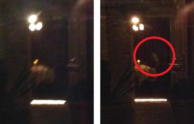 Kis szellem fényképezett New Orleans-ban