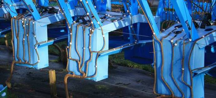 Bútorok készíthetők, de te is nőhetsz