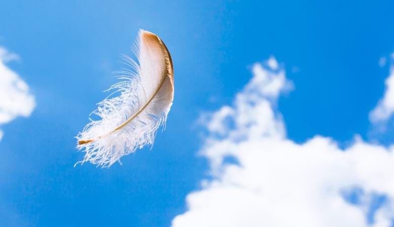 A halottak fehér tollakkal tudnak kommunikálni az élőkkel.