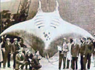 Bosszú az ismeretlen kutatók számára