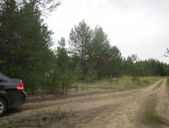 Olyan hely, ahol nem élnek patkányok és más komi rendellenes övezetek