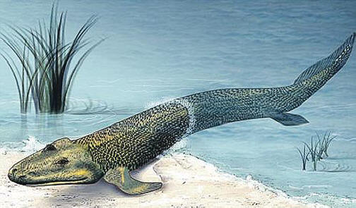 Ez volt az összes pszichés őse.