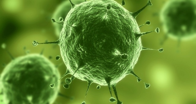 A baktériumok évek óta élhetnek az űrben