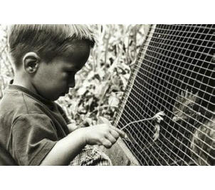 Millionaire 8 éves korig