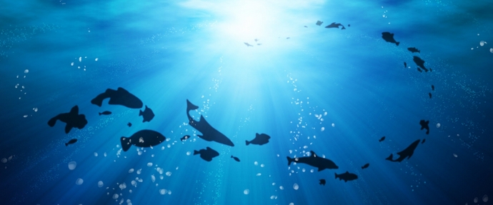 Az óceánok változnak, megváltoztatják az egész bolygó életét