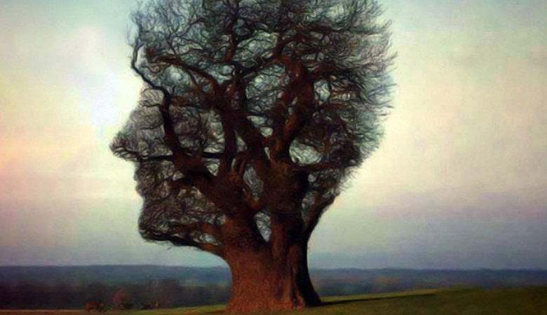 A misztikus fa holtan nő alakjában alakult ki