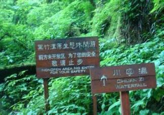 Kína miszticizmus. Fekete bambusz ürege