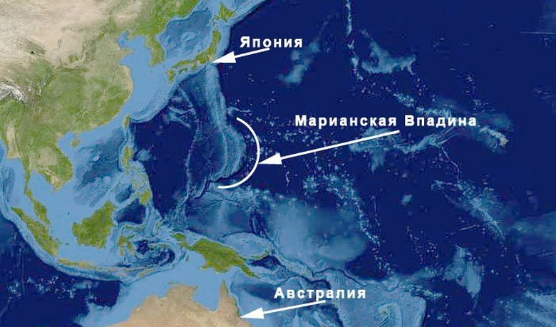 Egy büszke drone tengeri drone